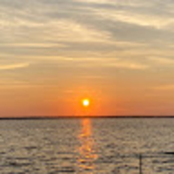 Meet your Posher, Andrew - Picture 1 of 1